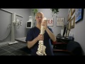 Subscapularis Multi-Release Technique for Frozen Shoulder, Bursitis, Rotator Cuff - Dr Mandell