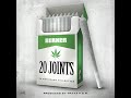 20 Joints