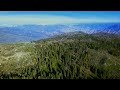 2024 Best Sequoia National Forest Chicago Stump Trail 4k Drone Stock Footage Version 2.