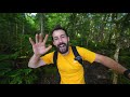 Inside Japan's FOREST OF MONONOKE - [Solo Hike 4K]
