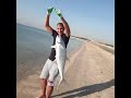 صيد سمك بالارساليه fishing