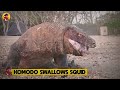 15 Merciless Komodo Dragons Swallowing Animals