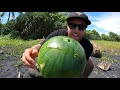 COOKING FISH IN A WATERMELON?? CATCH AND COOK on the beach - how to make a bow drill