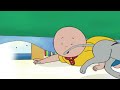 Funny Animated Cartoon Caillou | Caillou Helps Out | Animated Funny Videos For Kids