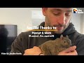 Guy And Rescued Squirrel Do Everything Together | The Dodo