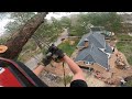 Removing a pine with the help of a knuckle boom crane