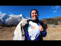 Everest Skydive 2019
