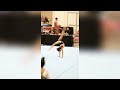 Watch How GOOD Jayden Does At Gymnastics 🤯🤸🏽 | TikTok Compilation