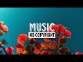 Phlanr - Phase (Vlog No Copyright Music) background music,free music,no copyright music