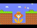 Can Mario Collect Peach, Mario, Sonic FLOWER in New Super Mario Bros. Wii