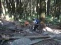 fromme 27th June