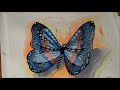 Watercolor Butterfly Speed Paint