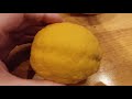 We Grow THE BIGGEST Lemons On Earth!