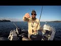 Lake Macquarie Flathead Fishing - Tips & Tricks to Land a Trophy