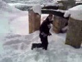 snow flip