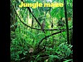 Jungle maze