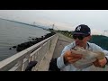 multi spices ,Croaker ,big flounder, spot great day out 🎣#nycfishing #brooklyn #croaker #flounder