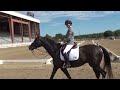 Annie Dressage 6/29/24 Longmont Day 1 6.2score