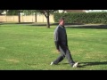 The Beginner's Tai Chi Walk