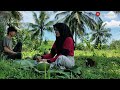 SEJUTA ORANG BAKAL BAPER!!MELIHAT NENG IDA DIGODAIN SAAT BERAKTIVITAS DI KEBUN..⁉️