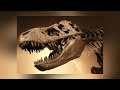 Did T.rex Hunt Sauropods?