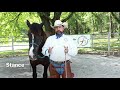 Reading your horse's body language made easy