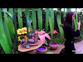 [HD] Fairy Tale Forest at Hong Kong Disneyland - A Walk-through Attraction