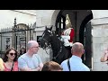 Heart Warming Moment Between Wilson the Horse and A Tourist on Bike at Horse Guards