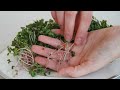 How to grow microgreens without soil | Hydroponic method