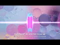 Bubblegum KK Cover/Remix [Animal Crossing] | Quwapa Quwapus The Not Quite Remix