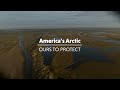 America's Arctic: Dunlin