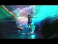 Andez • Tsunami (Lyric Video)