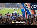 TOP 10 CORI DELLA SAMPDORIA💙🤍❤️🖤🤍💙