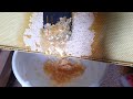 Honey Harvest Clip
