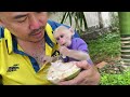 Monkey Luk had trouble drinking coconut water and asked dad for help