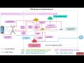 PDU Session Establishment - Part of 5G Course (Link in Description)