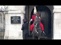 Emergency Button Pressed, Royal Kings horse guards.!