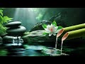 Relaxing Music Relieve Stress and Depression 🌿 Heal the Mind, Deep Sleep