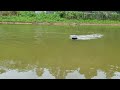 Two speed model demo for D16 12V fishing bait boat with hook release