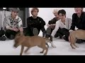 Stray Kids Play: The Puppy Interview