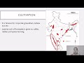 Soils in India | SSC Geography by Pooja Ma'am | Parcham