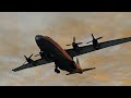 Real Airplane Accidents Recreation in BeamNG Drive #3