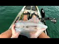 Jigging GIANT Squid! Kayak Fishing ULTRA Clear Waters!