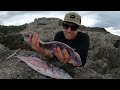 CAMPING ALONE ON A CLIFF - This fish was too big to eat