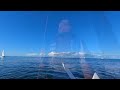 Prophecy Trimaran - WAGS Race on Wilparinna II 24/07/2024