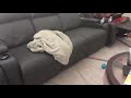 I put a blanket on an angry dog