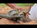 easy trapped snake by plastic BIDONG caught snakes alot