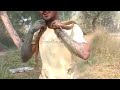 Unbelievable Fishing | Catching Monster Eel Fish | Village Boy Catching Fish