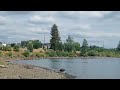 Wild Swim Portland: Willamette River