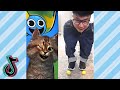 The FUNNIEST TikTok Videos #189 (DON'T LAUGH CHALLENGE 2024)